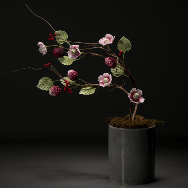 Sugar berries sprawling out from a stem with sugar leaves and sugar blossoms