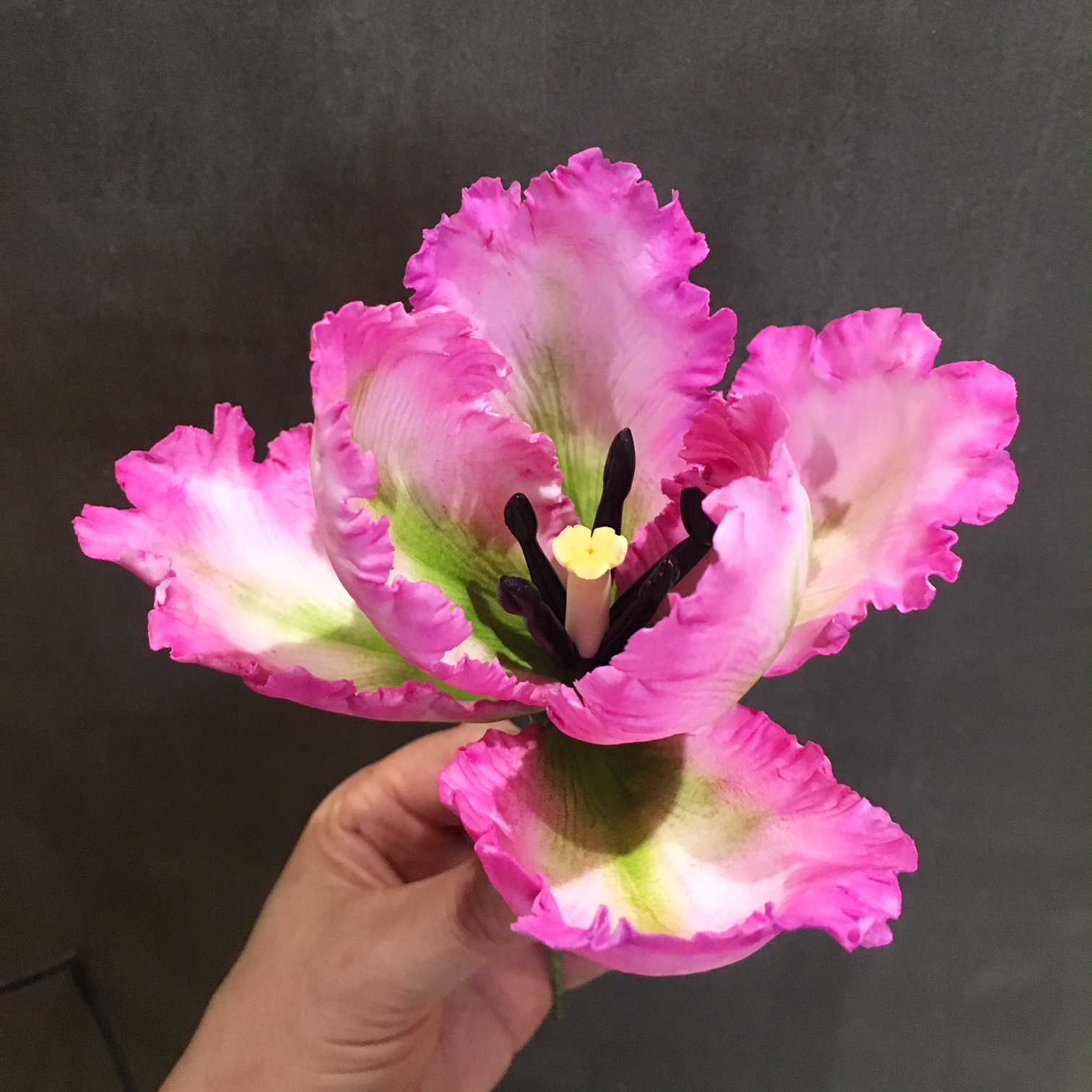 gum paste parrot tulip